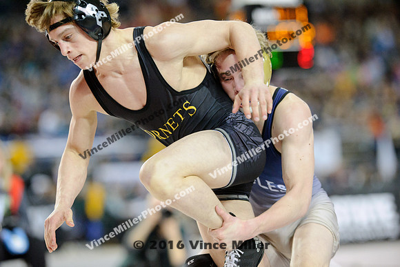 VM28038