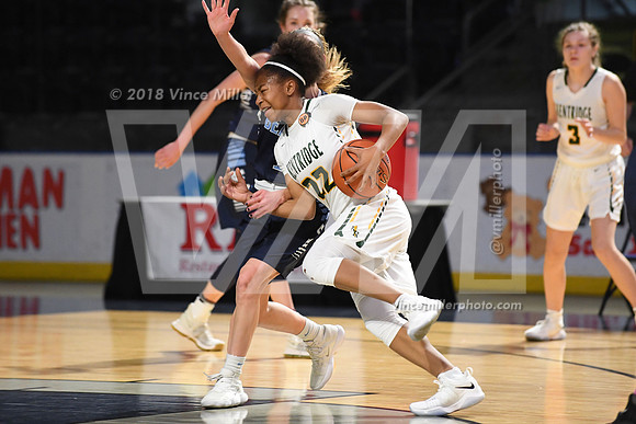 VM55391