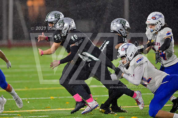 VM60599