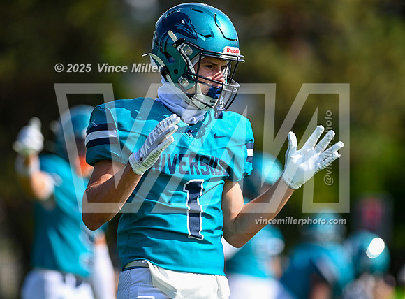 VM62741