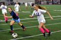 VM41932