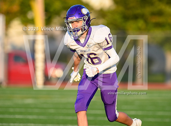 VM65566