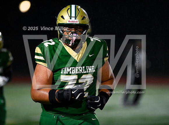 VM68385