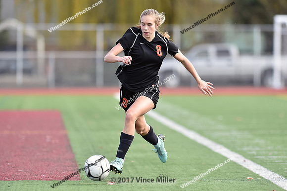VM30099
