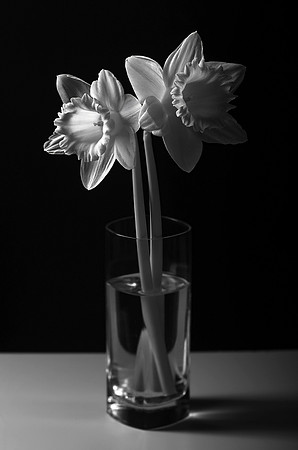 VM87920bw_4000