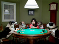 poker4000