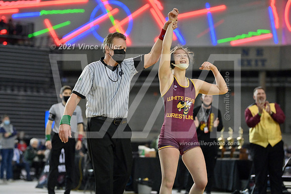 VM65386