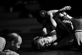 VM45253bw