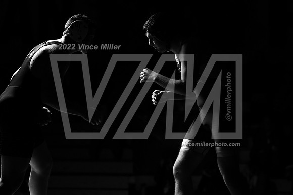 VM73016