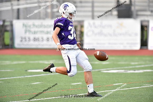 VM41718