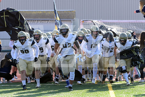 VM50847