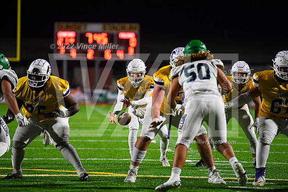 VM79518