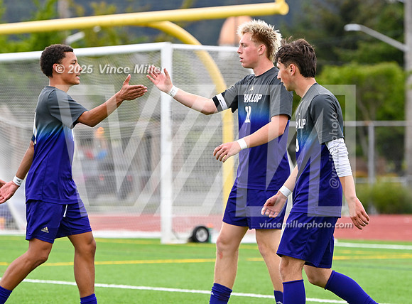 VM69331