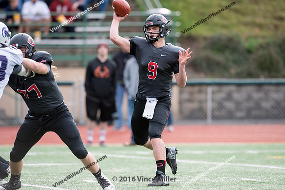 VM33499