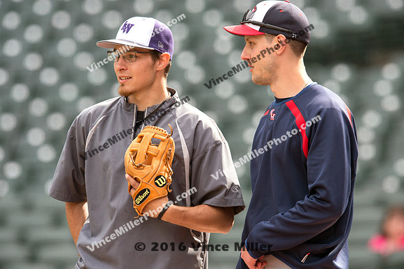 VM35517