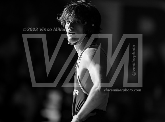 VM51733
