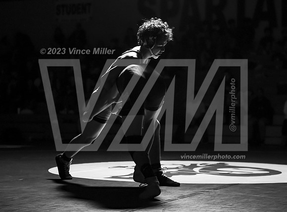 VM51683