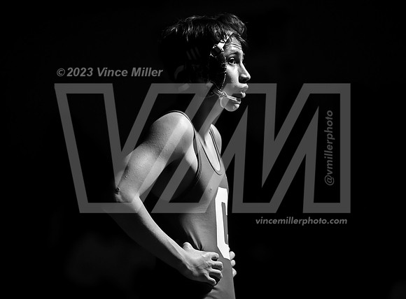 VM60098