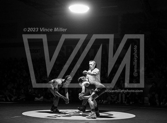 VM93301
