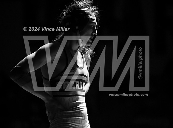 VM66529