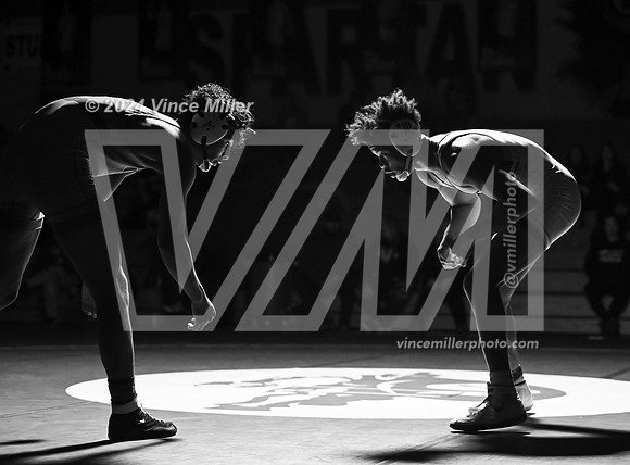 VM66790