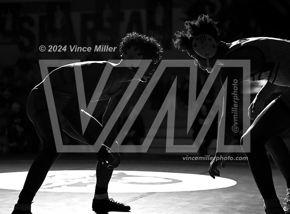 VM66785