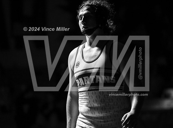 VM66311