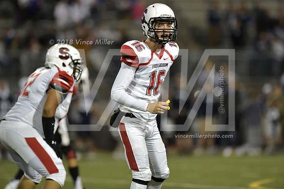 VM48058