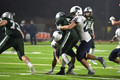 VM45455