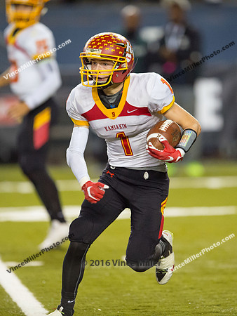 VM53173