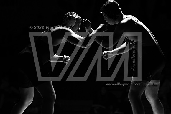VM73008