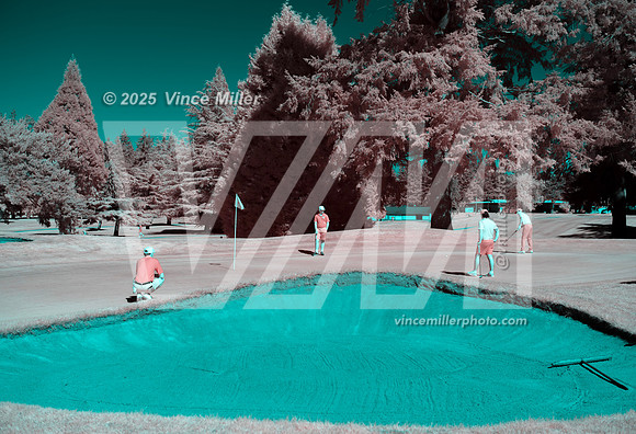 VM89402a