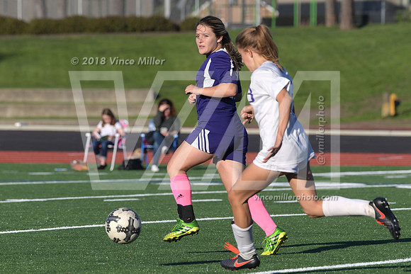 VM52081