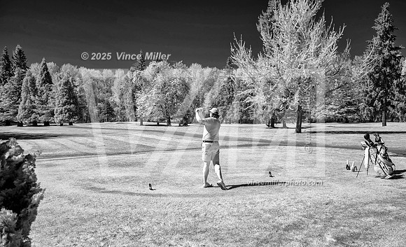 VM89340bw