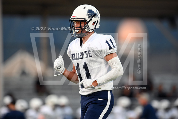 VM66873