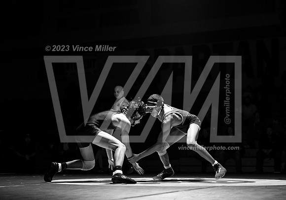 VM96183