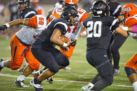 VM19463