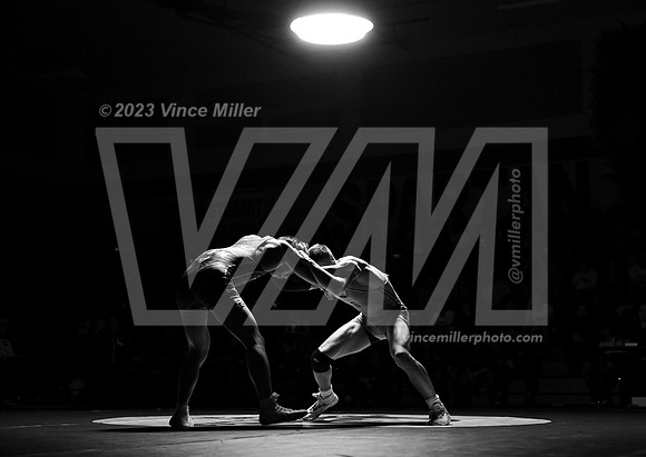VM96663