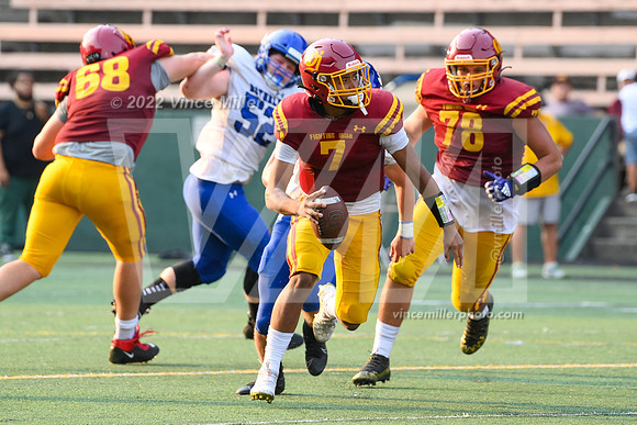 VM62034