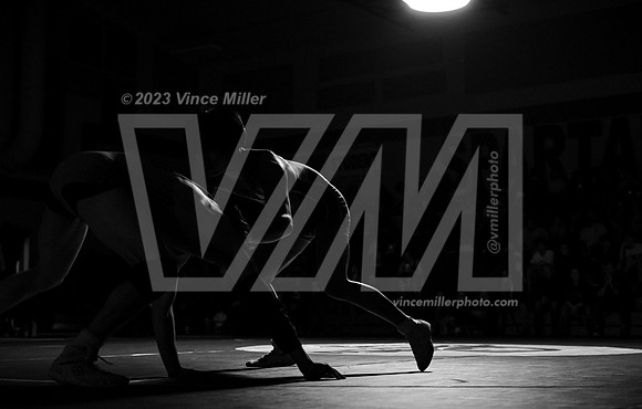 VM96650