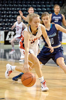 Juanita vs Auburn Riverside 1/19/15 (King Showcase)
