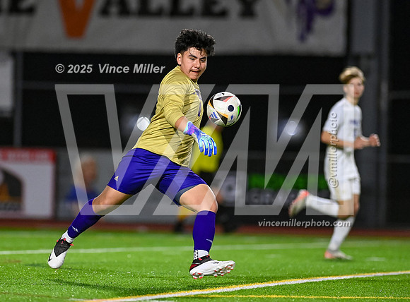VM66687