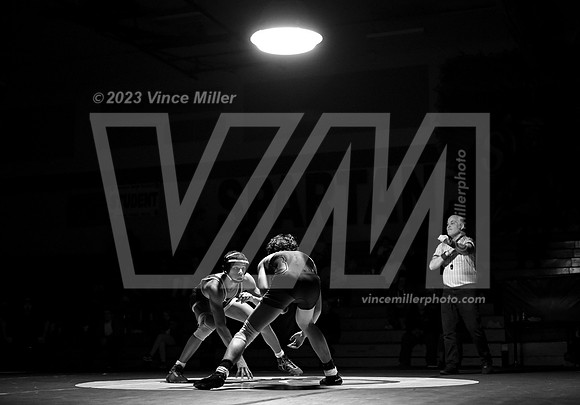 VM96135
