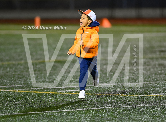 VM66162