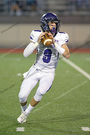 VM15089