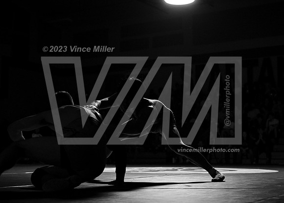 VM96643