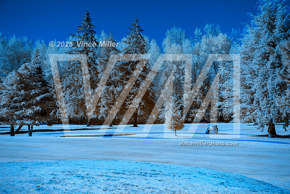 VM37493a