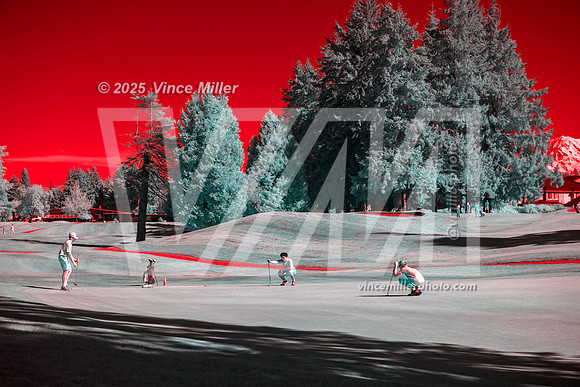 VM37487a