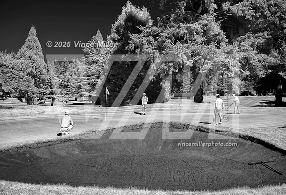 VM89402bw