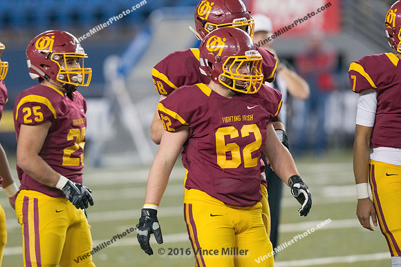 VM41384